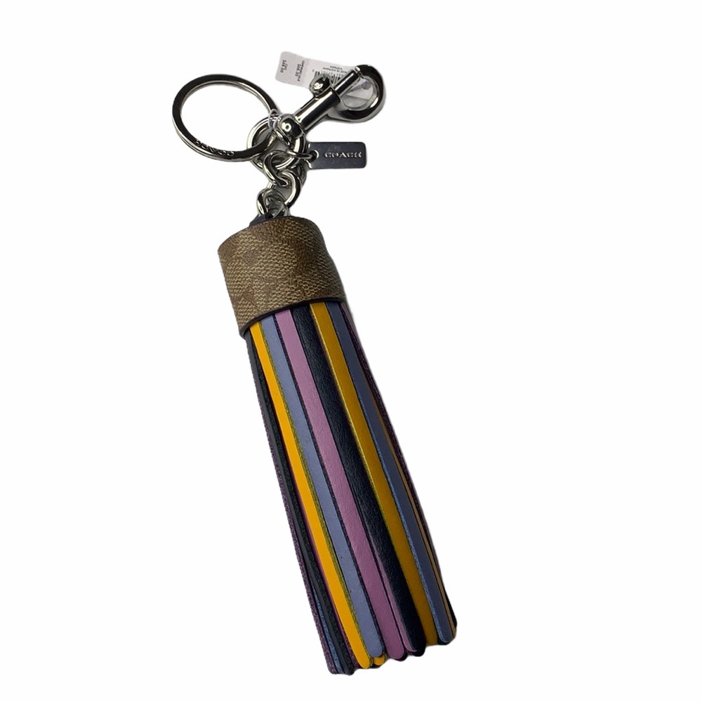 NWT Coach colorblock tassel bag charm